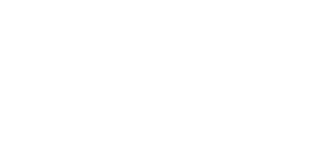 VMO2